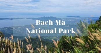 Bach Ma National Park: One of the ideal spots for ecotourism in Vietnam
